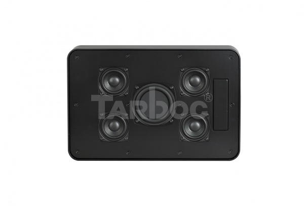 TARBOC Настенная колонка BG-P4021